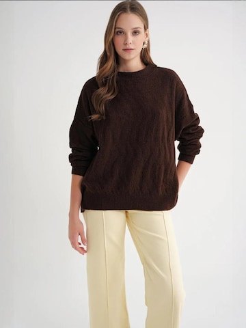 Pull-over 'Pullover' MixRay en marron