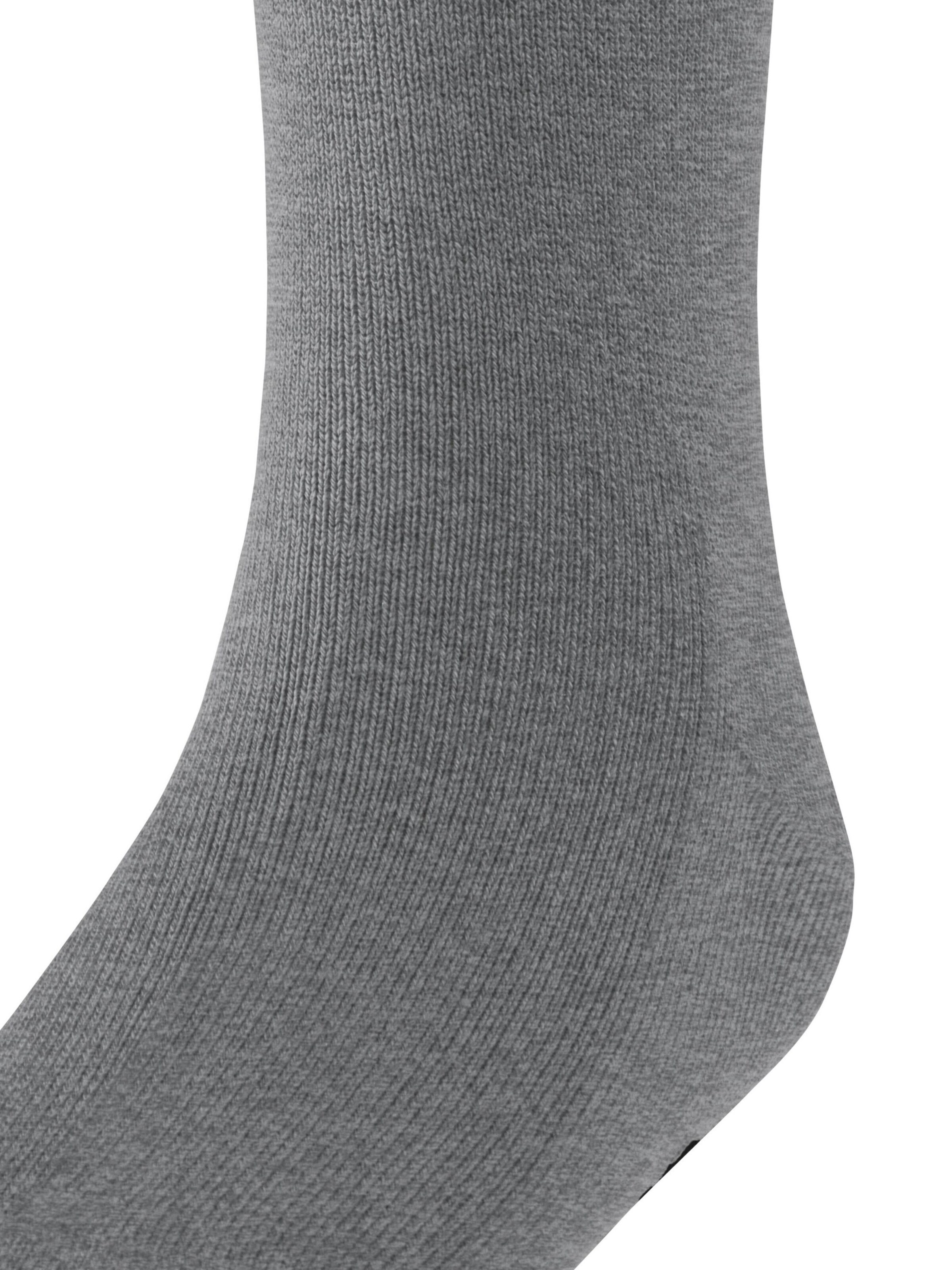 FALKE Socks 'Family' in Grey