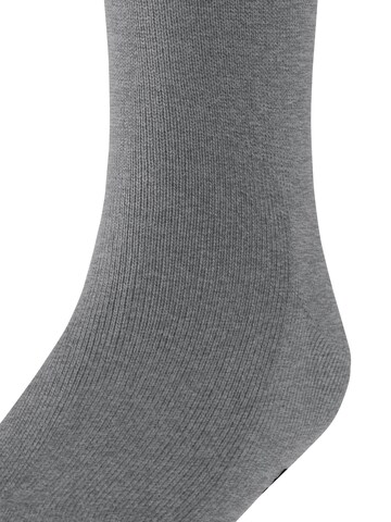 FALKE Socks 'Family' in Grey