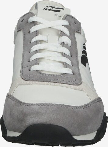 Sneaker bassa di CLARKS in grigio