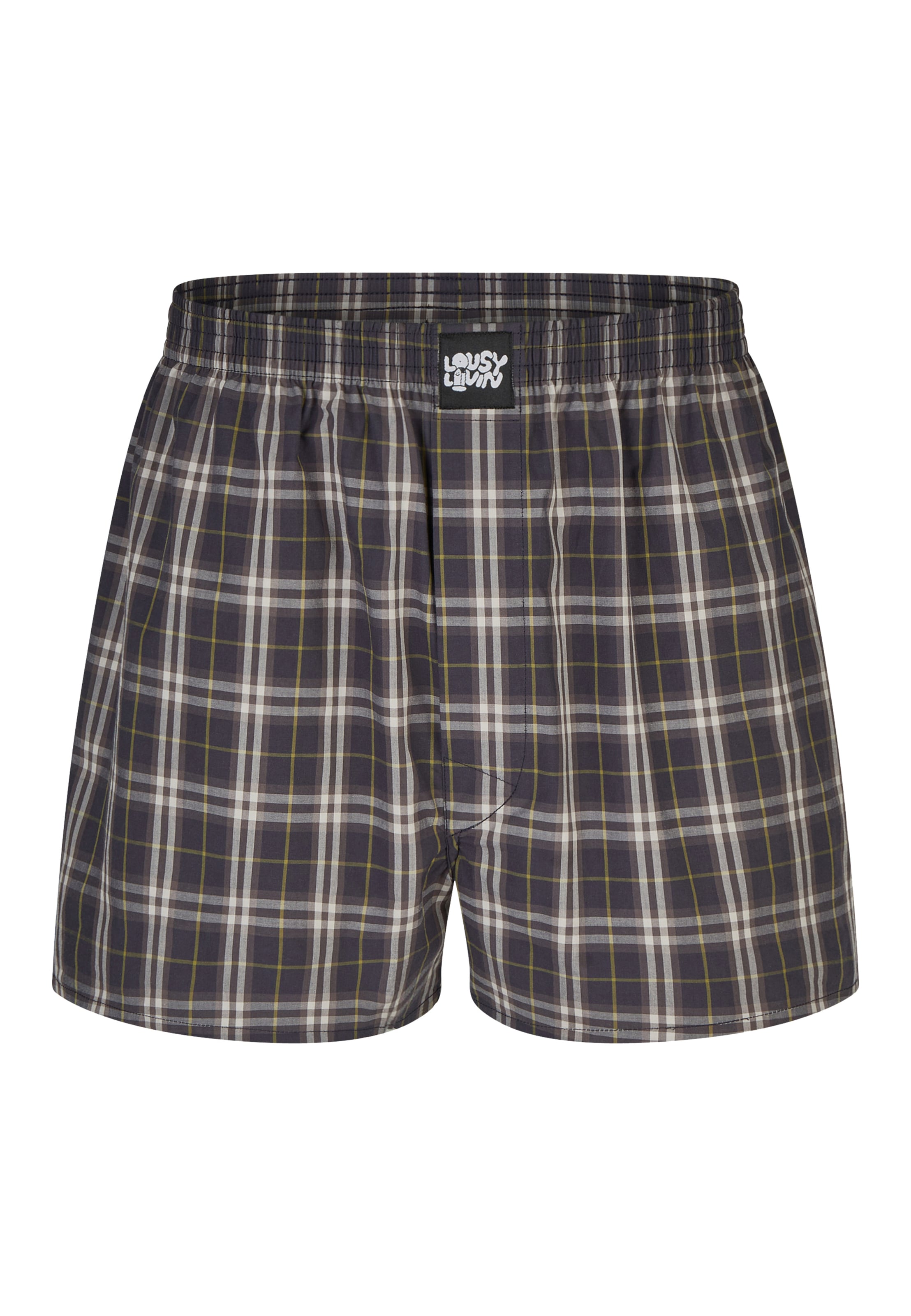 Lousy Livin Boxer shorts 'Check' in Blue