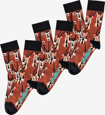 UNABUX Socks ' GRUMBLE IN THE JUNGLE ' in Brown: front