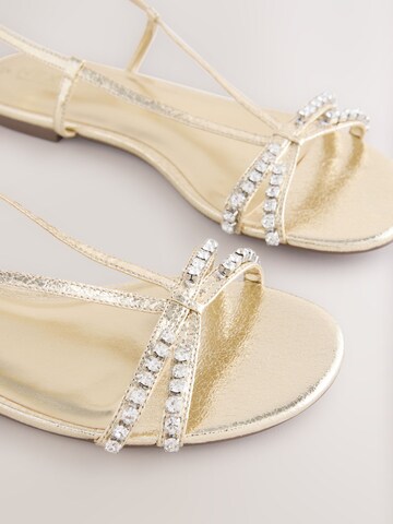 Next Sandals 'Forever Comfort®' in Gold