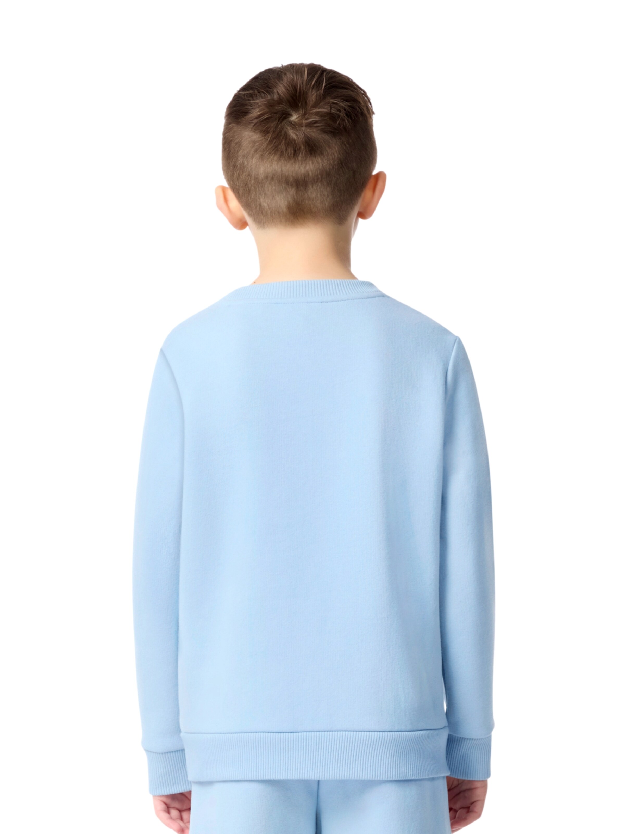 Felpa di LACOSTE in blu