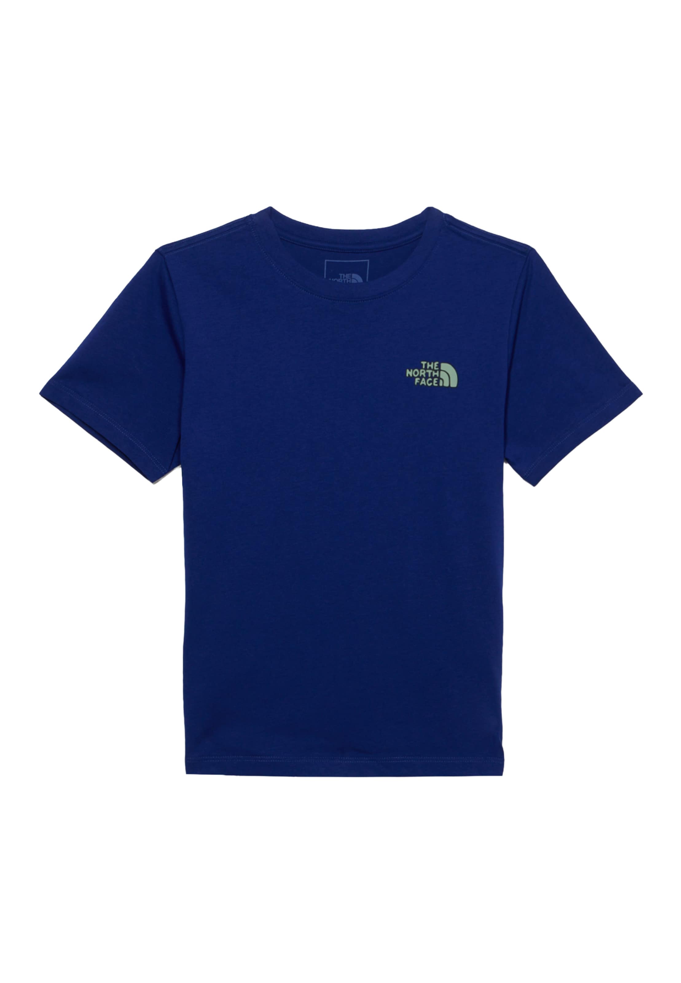 THE NORTH FACE Функциональная футболка в Синий: спереди