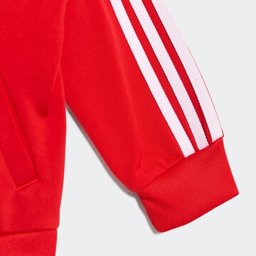 ADIDAS ORIGINALS Regular Jogginganzug 'Adicolor' in Rot