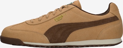 PUMA Tenisky 'Arizona' - velbloudí / tmavě hnědá, Produkt