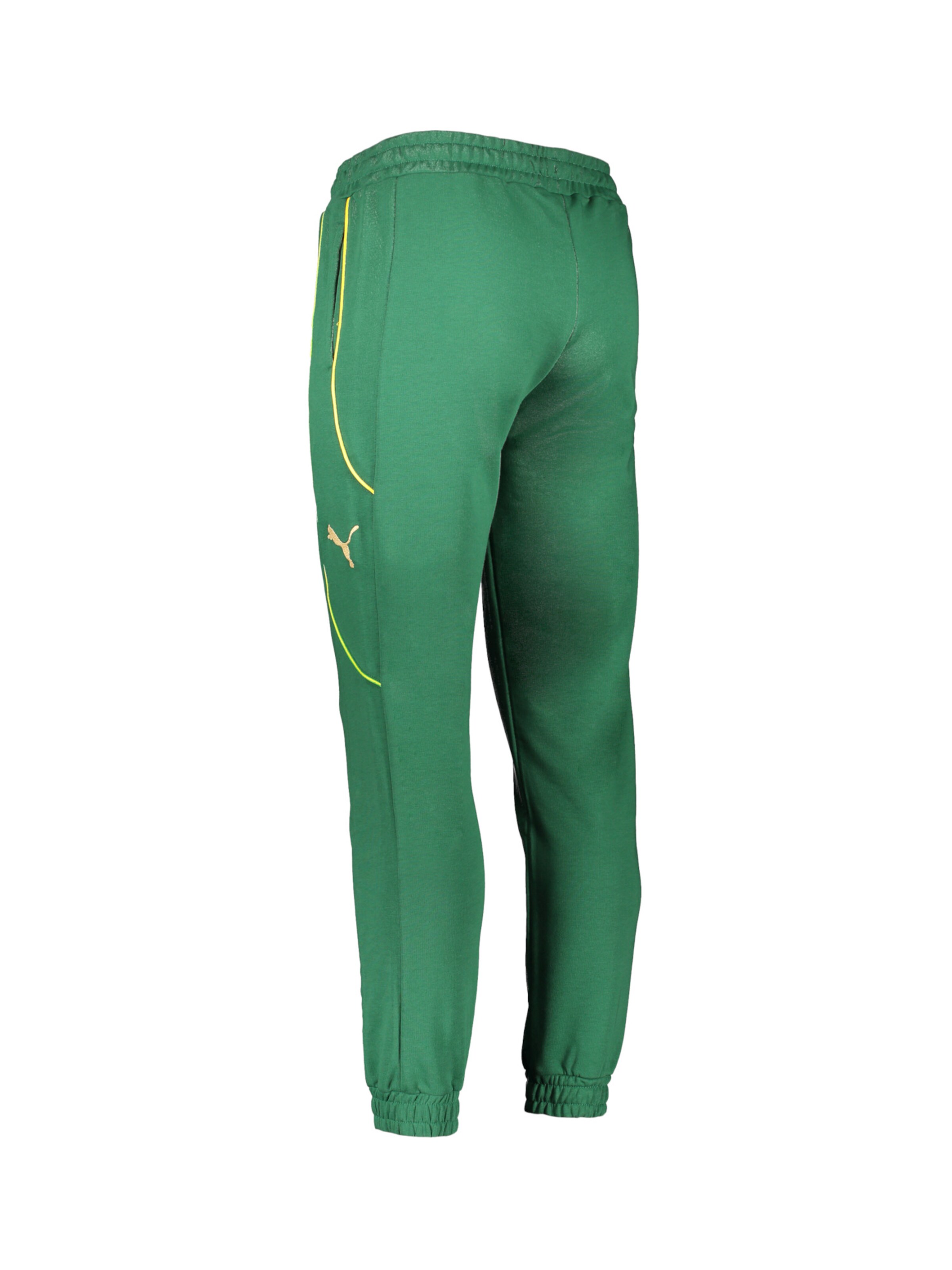 PUMA Regular Sporthose in Grün