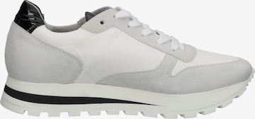 PETER KAISER Sneakers in Grey