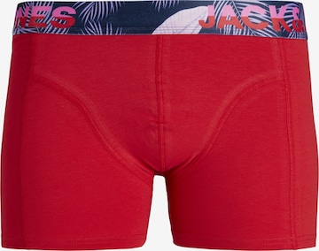 JACK & JONES Boxershorts 'PAW' i blå