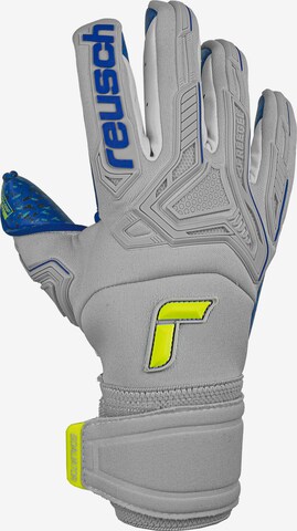 REUSCH Handschuhe 'Attrakt Freegel Fusion Goaliator' in Grau