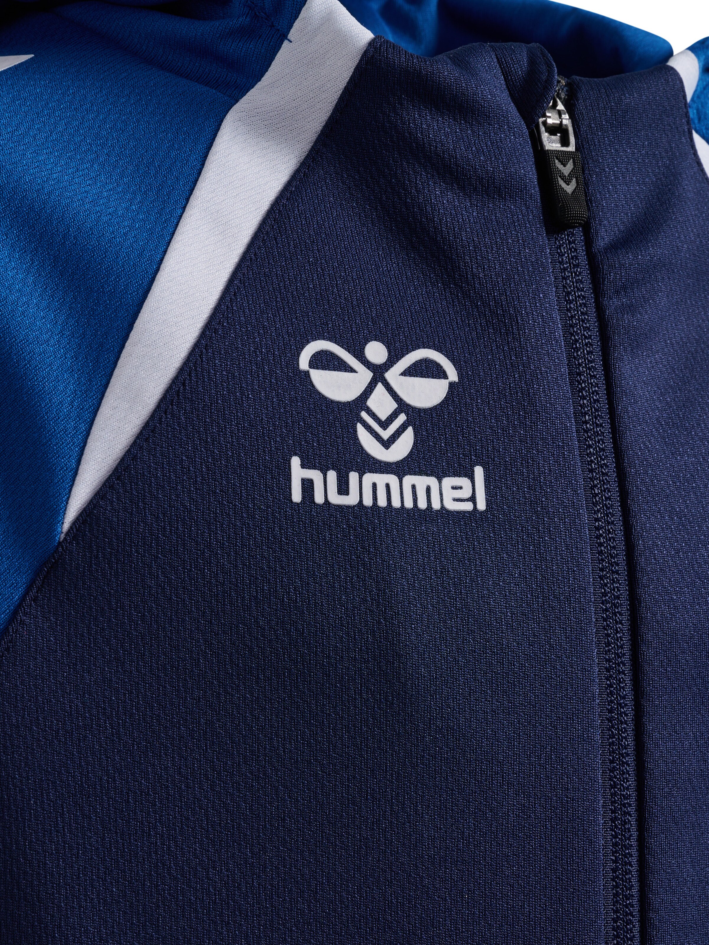 Hummel Sportssweatjakke 'Ead 2.0' i blå