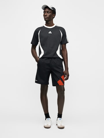 ADIDAS ORIGINALS regular Παντελόνι σε μαύρο