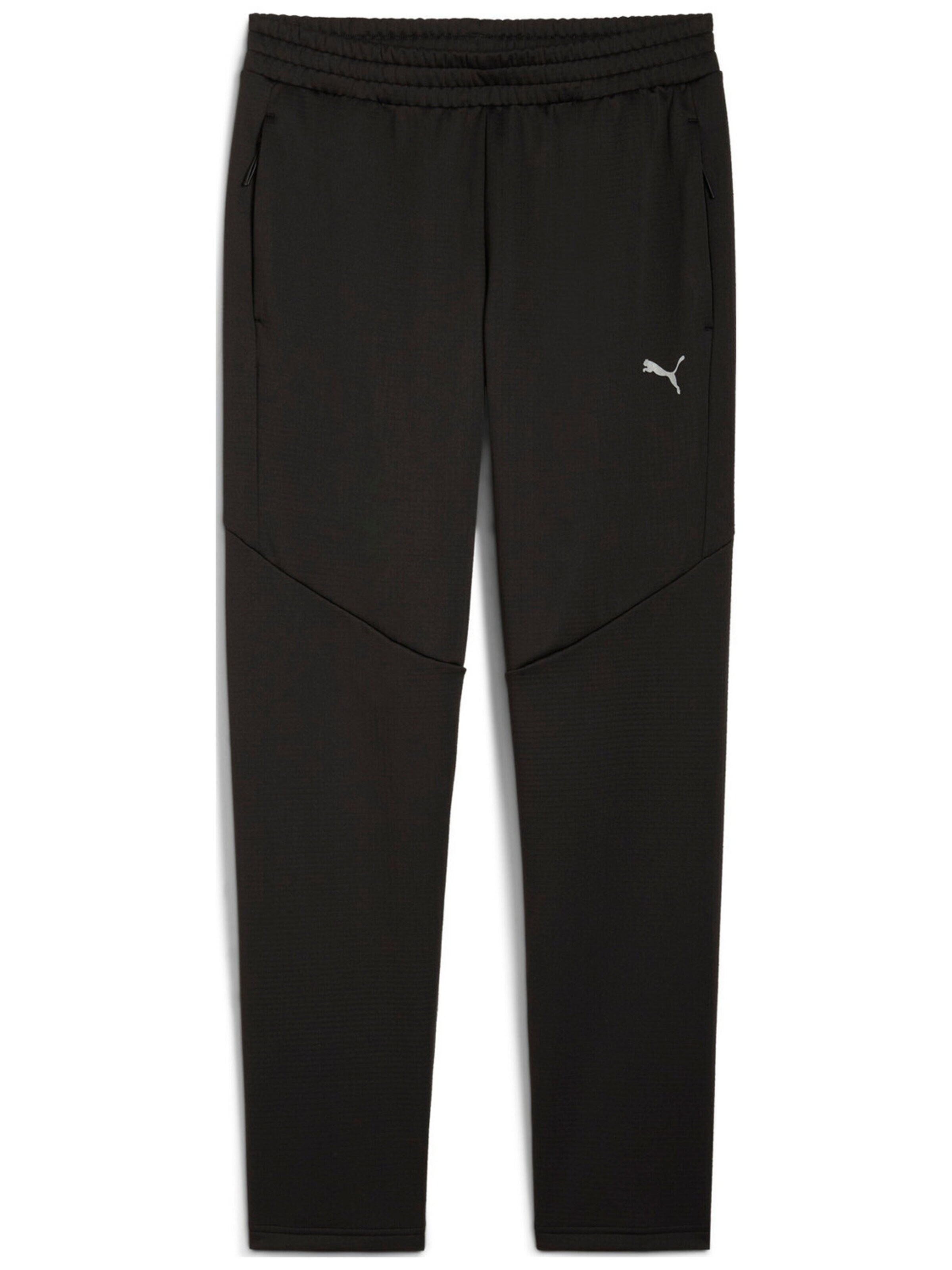regular Pantaloni sportivi 'Puma Evostripe Warm Pants' di PUMA in nero: frontale