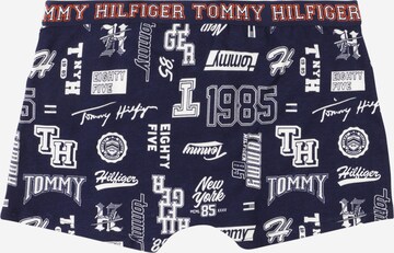 Chiloţi de la Tommy Hilfiger Underwear pe albastru