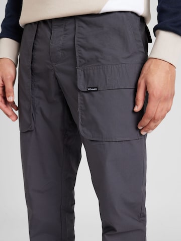 COLUMBIA Normalny krój Spodnie outdoor 'Landroamer' w kolorze szary