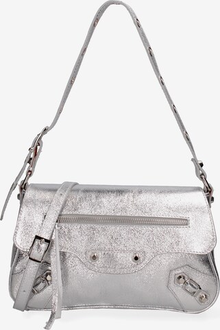 Roberta Rossi Shoulder Bag in Silver: front