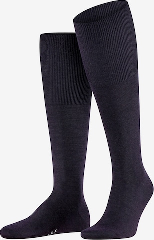 FALKE Knee High Socks 'Airport' in Blue: front