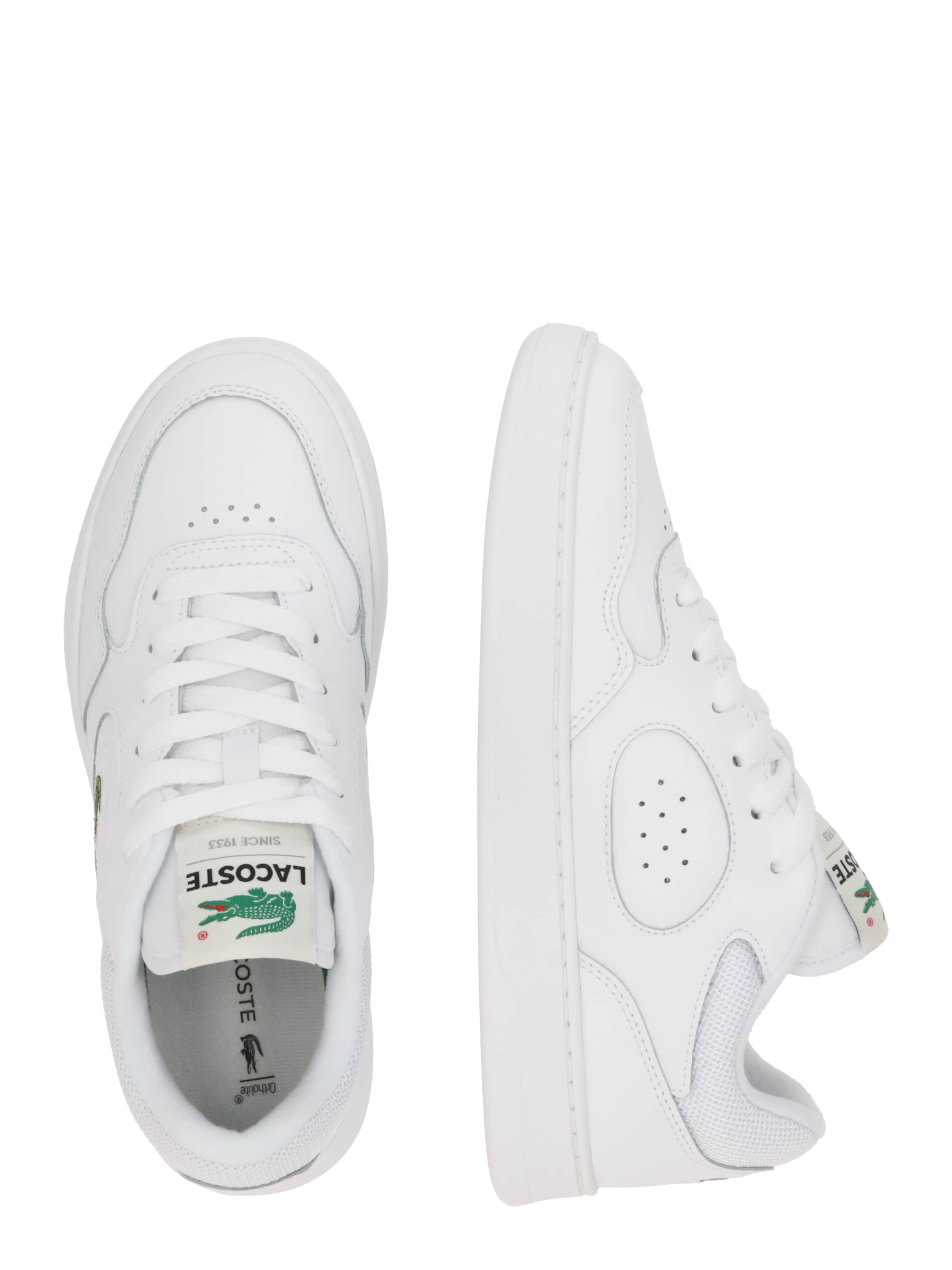 Sneaker bassa 'Lineset' di LACOSTE in bianco