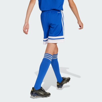ADIDAS PERFORMANCE Regular Sports trousers 'Squadra 25' in Blue