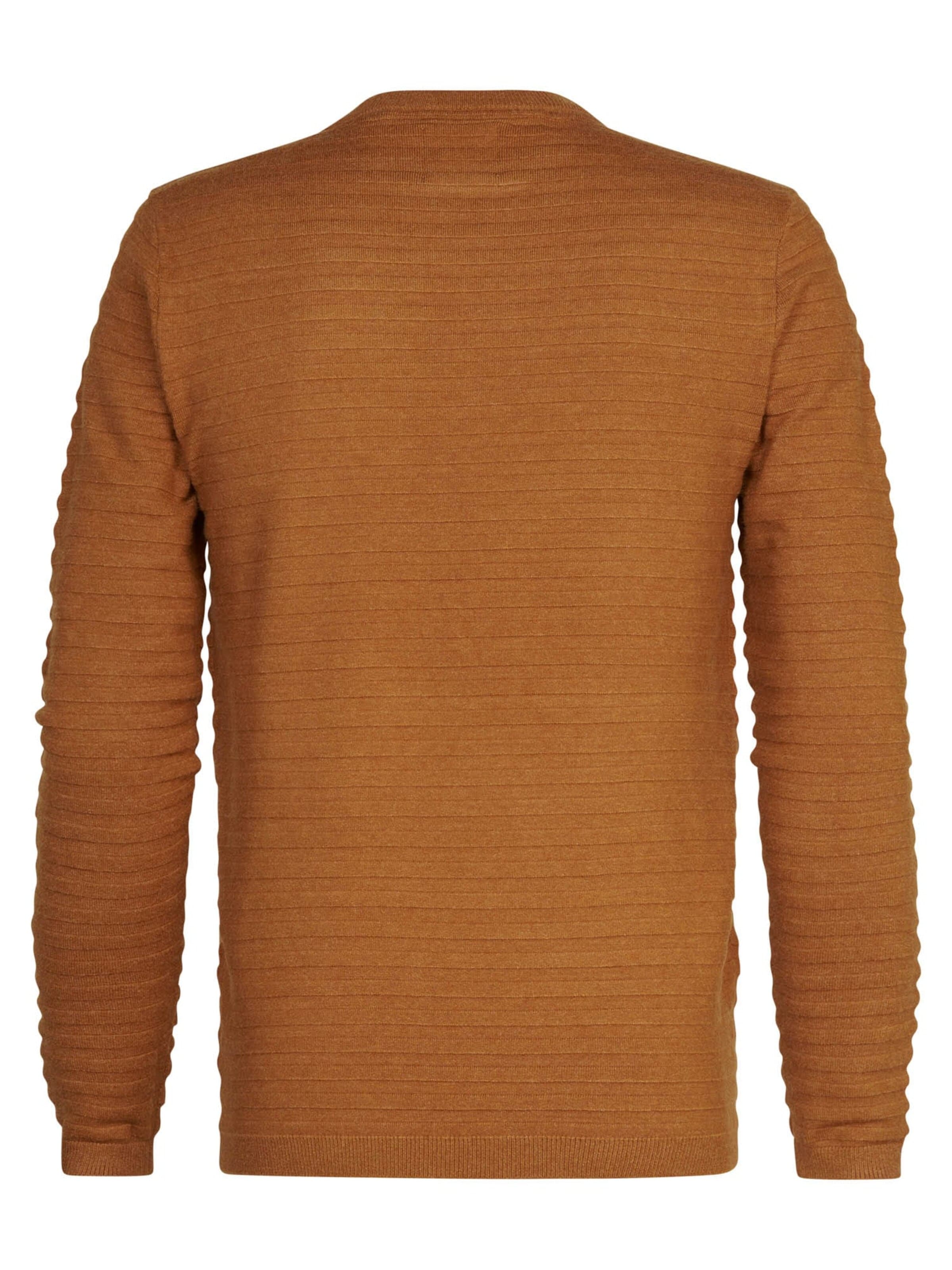 PETROL INDUSTRIES MEN Sweater in Beige