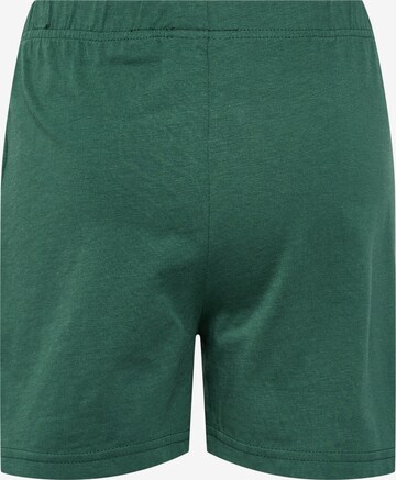Hummel Pajamas 'Nole' in Green