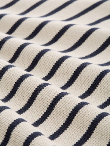 TOM TAILOR DENIM Trui in Blauw