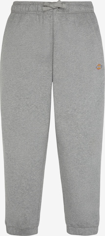 pilka DICKIES Standartinis Kelnės 'Mapleton': priekis