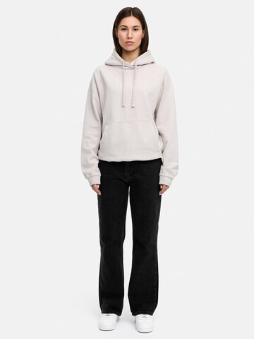 Daily Cotton Sweatshirt 'DCBAEZA' in Grey