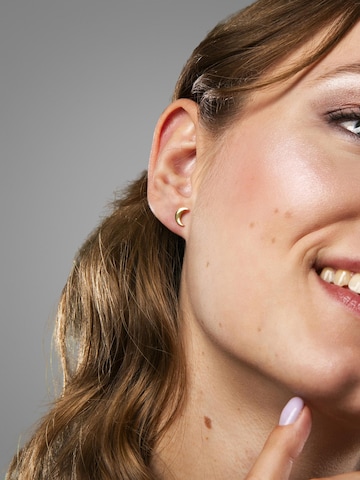 Amberz Oorbellen 'Moon studs' in Goud