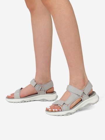 Dream Pairs Hiking Sandals in Grey