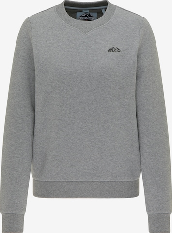 ICEBOUND - Sweatshirt em cinzento: frente