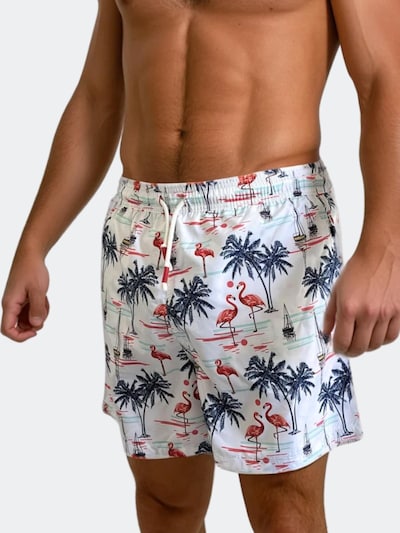 Line One Shorts de bain 'Line One Badehose für Herren' en M en bleu marine / rouge foncé / blanc, Vue avec produit