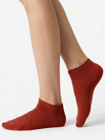 footstar Ankle Socks 'EVERYDAY!' in Red