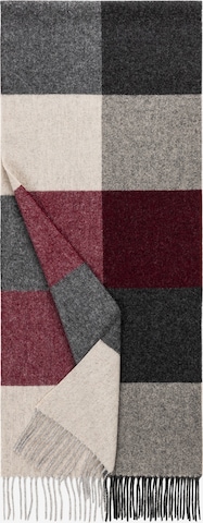 Roeckl Sjaal in Gemengde kleuren: voorkant