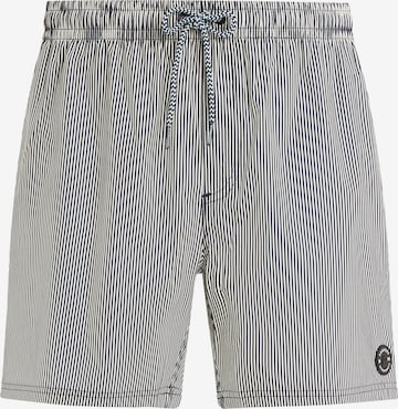 PROTEST Board Shorts 'PRTMANAMA' in Blue: front