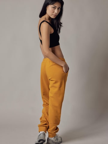 regular Pantaloni 'Felpati' di OWN Off With Nature in marrone