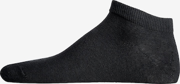 JACK & JONES Socken 'DONGO' in Schwarz