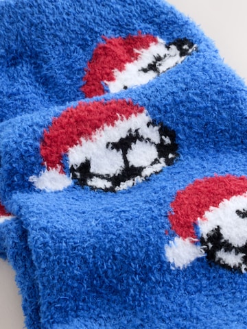 Next - Calcetines en azul
