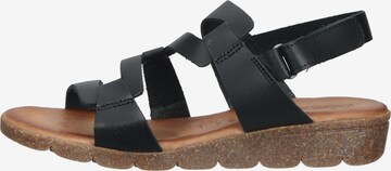 COSMOS COMFORT Strap Sandals in Black