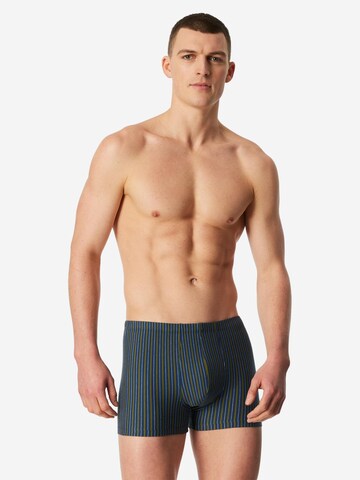 SCHIESSER Boxershorts '95/5 Essentials - Organic Cotton' in Blauw