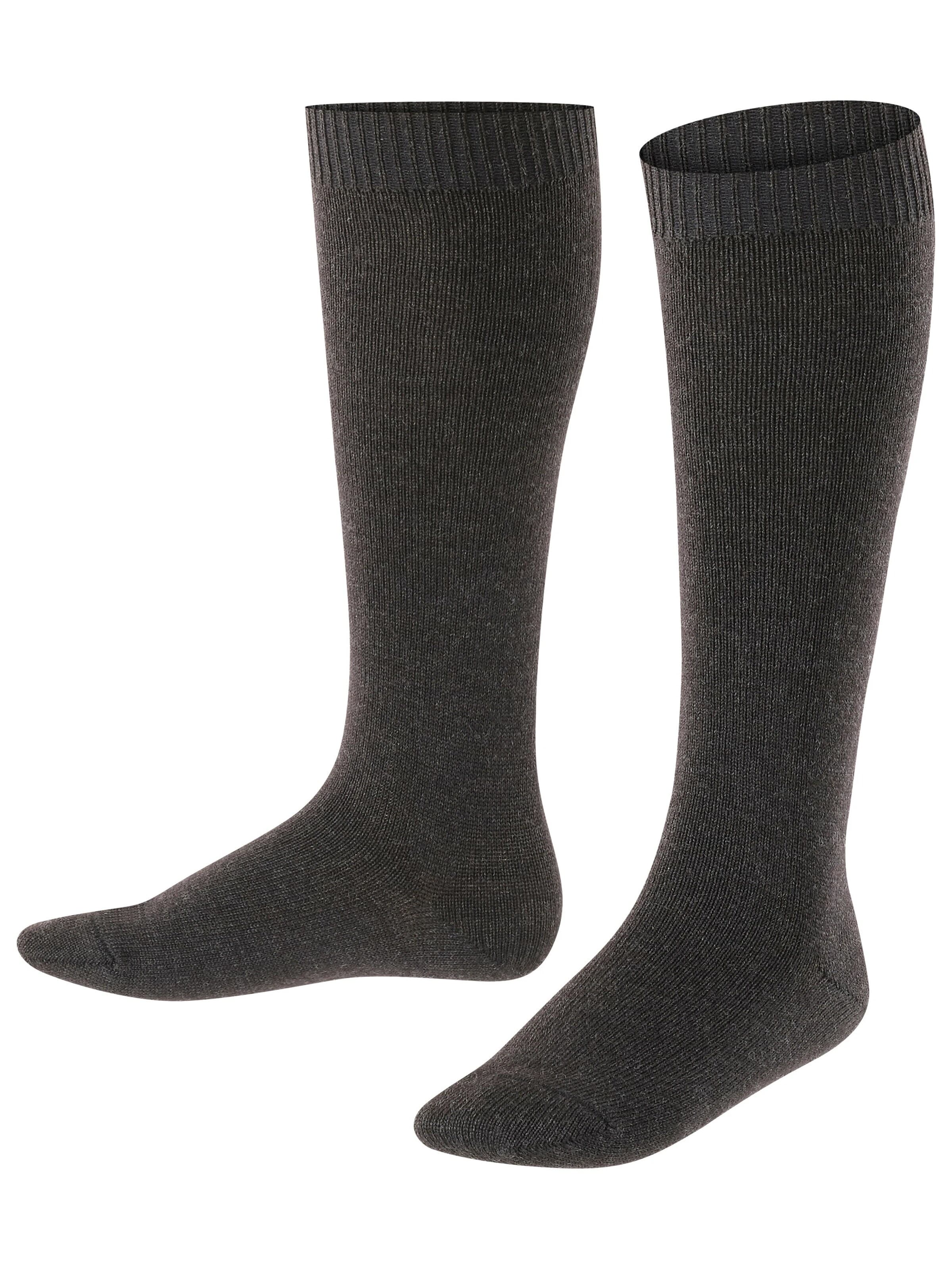 FALKE Socks 'Comfort Wool' in Grey: front