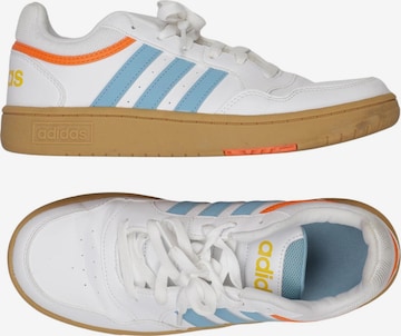 ADIDAS PERFORMANCE Sneaker 43,5 in Mischfarben: Vorderseite