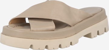 MJUS Mules 'JUPITER' in Beige: front