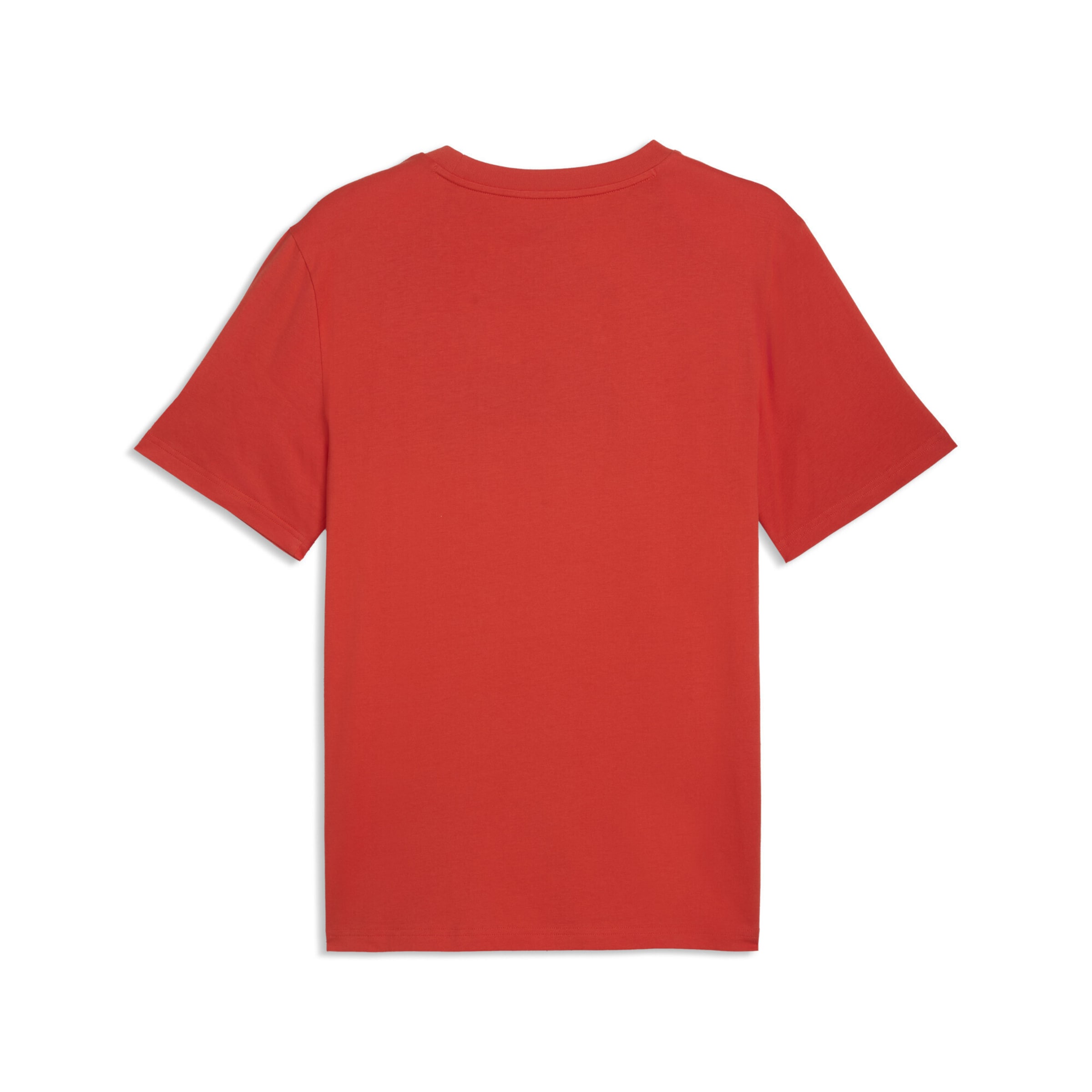 PUMA Functioneel shirt ' ftblCulture' in Rood