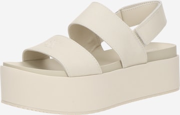 pelēks Calvin Klein Jeans Sandales: no priekšpuses