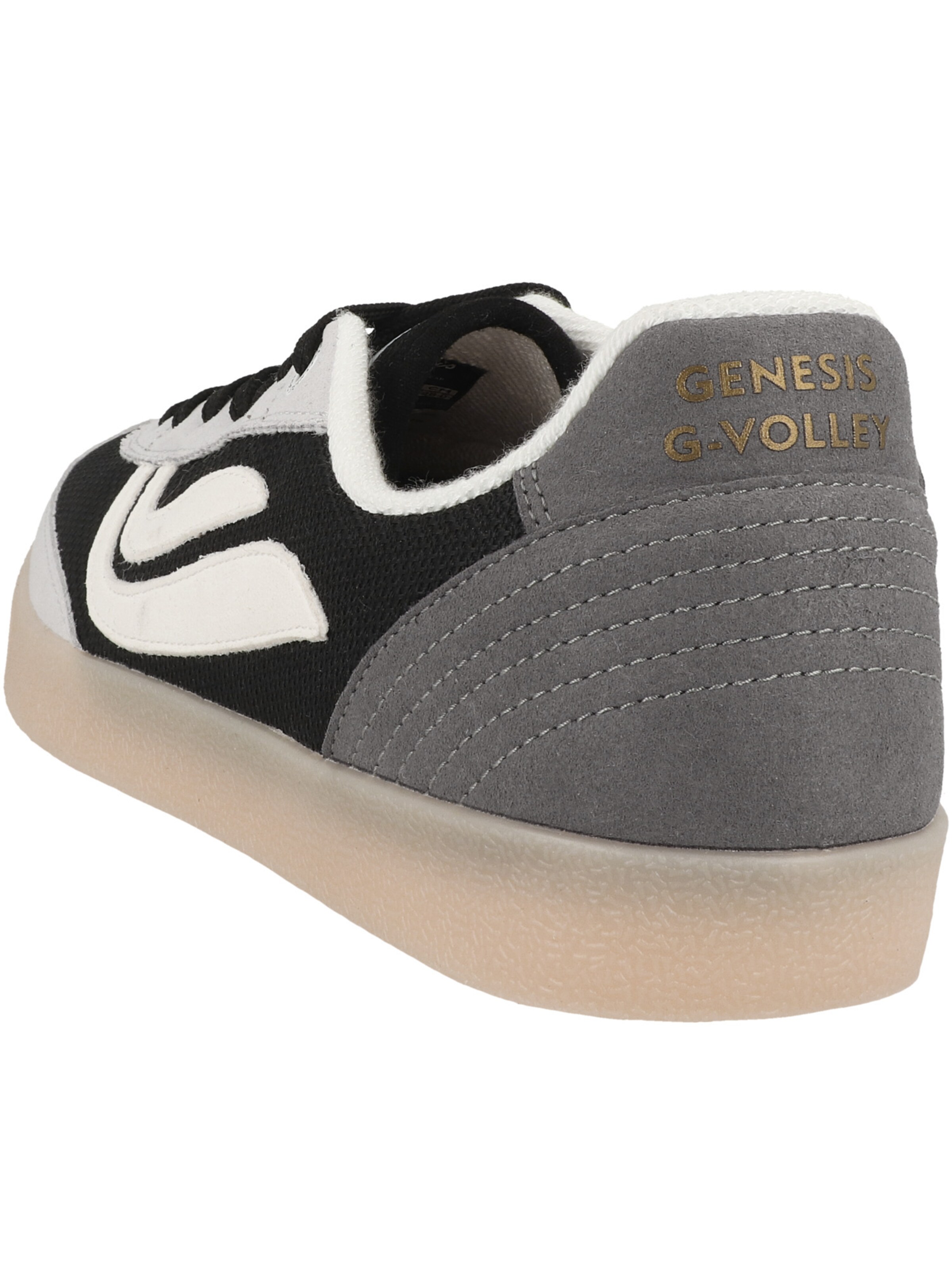 Sneaker bassa 'G-Volley' di GENESIS in grigio