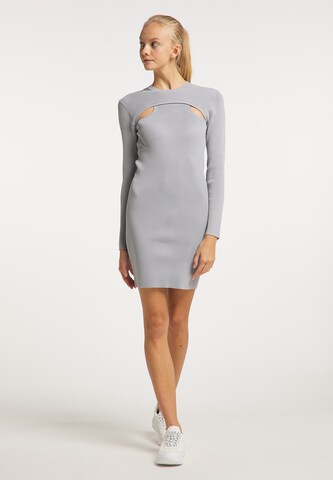 myMo ATHLSR Strickkleid in Grau