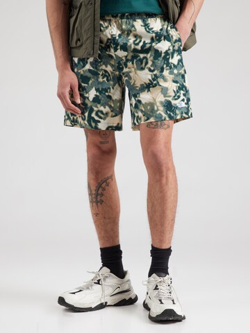 regular Pantaloni per outdoor 'CLASS V PATHFINDER' di THE NORTH FACE in verde: frontale