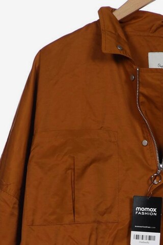 Pepe Jeans Jacket & Coat in L in Orange